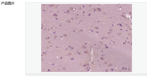 6059468a16979.png image.png