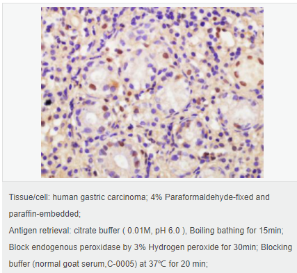 605acb27b106d.png image.png