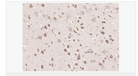 605d9fdd7a4d4.png image.png