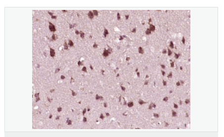 60640f3380482.png image.png