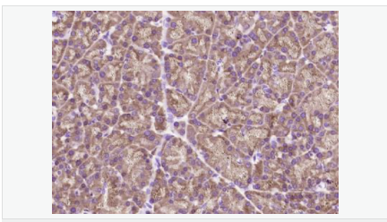 6066c2fb58778.png image.png