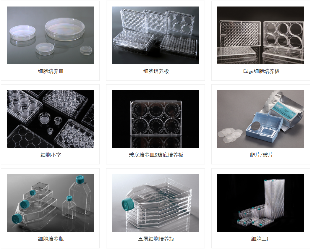 61357de38e6d3.png 61357de38e6d3.png