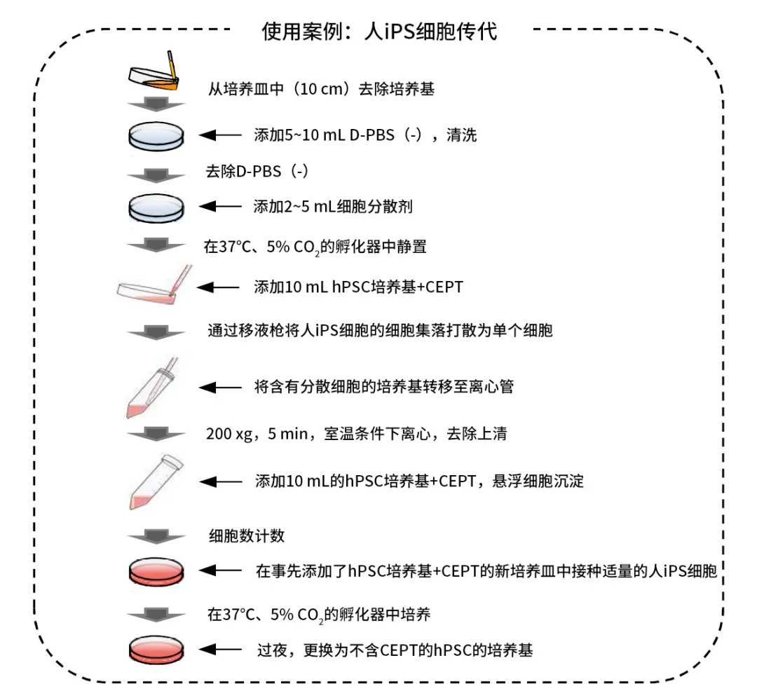 672b30569fe02.jpg 1730883659924.jpg