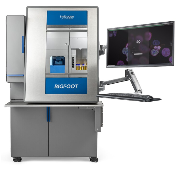 68ea13eabd736.png image.png